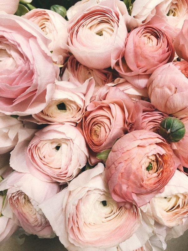 6 Beautiful Ways to Celebrate Pride Month with Flowers