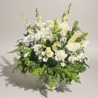 The Compassion Collection